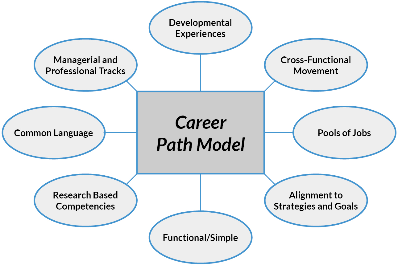 Ey career Path. BCG career Path. Job Mapping. An ideal career for you.